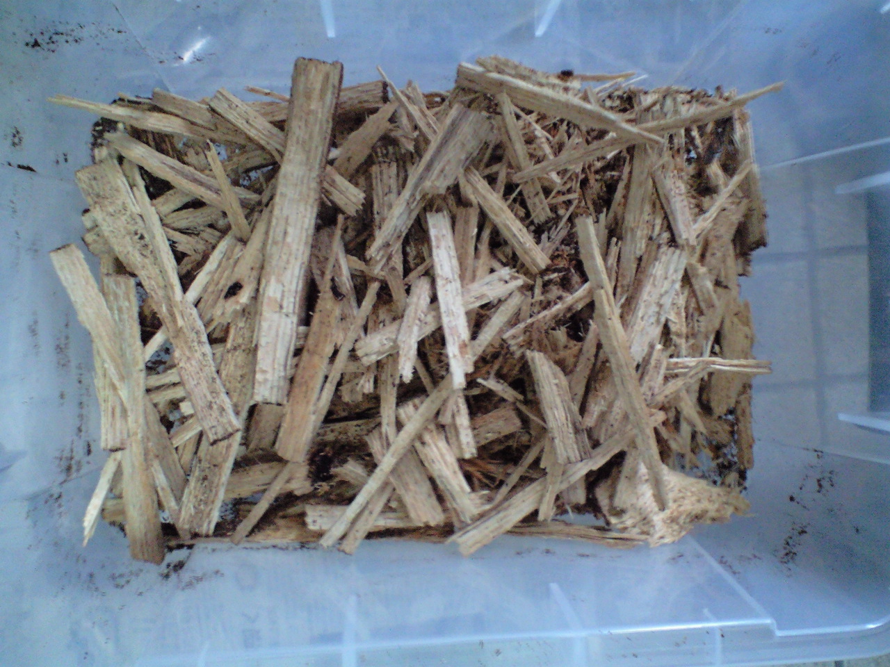 a0093677_15162138.jpg