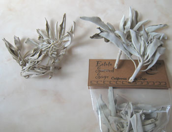 c0120789_1817166.jpg