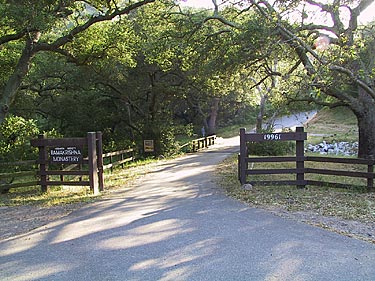 c0120789_1911284.jpg