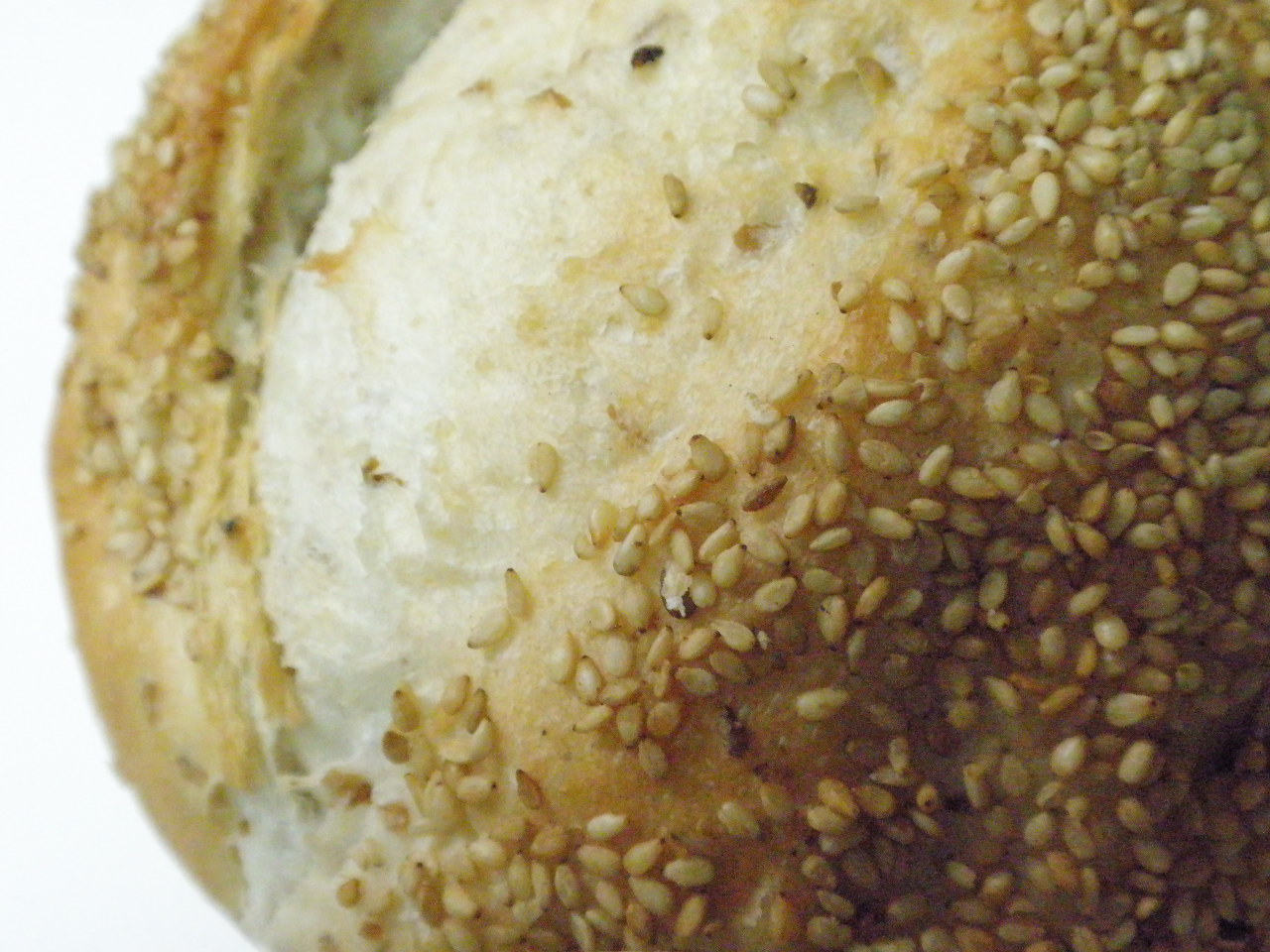 c0166989_8132889.jpg