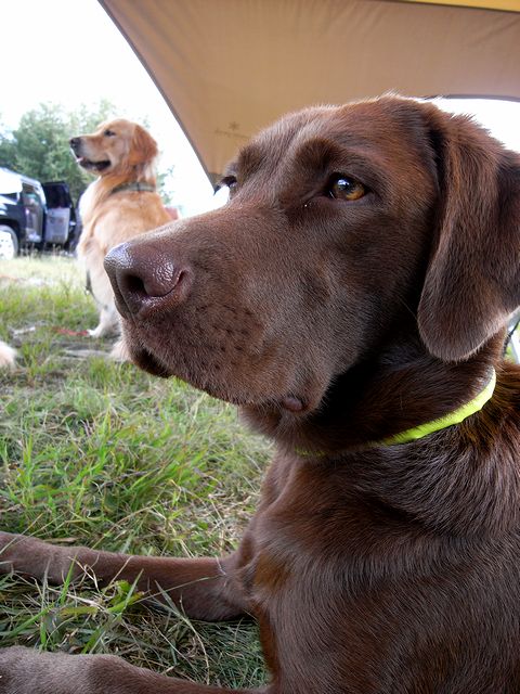 a0093592_13295317.jpg