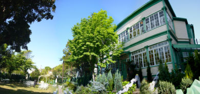 d0145195_2195941.jpg