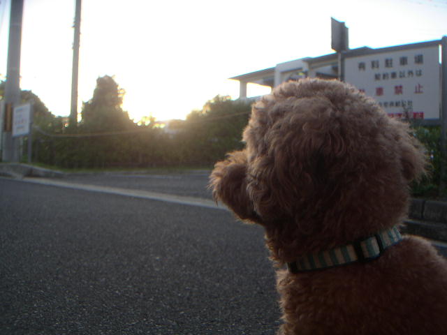 c0173896_9294575.jpg