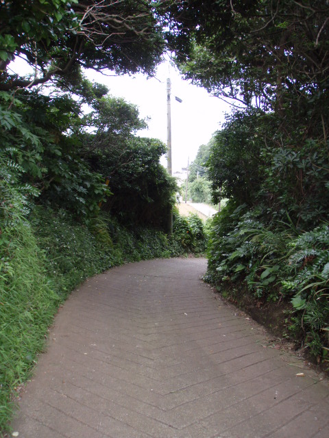 c0008598_2292984.jpg