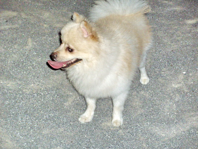 c0138198_16514215.jpg