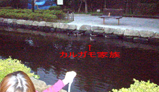 c0138198_16533058.jpg