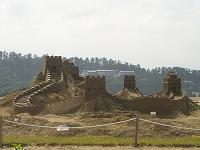 e0119003_1702720.jpg