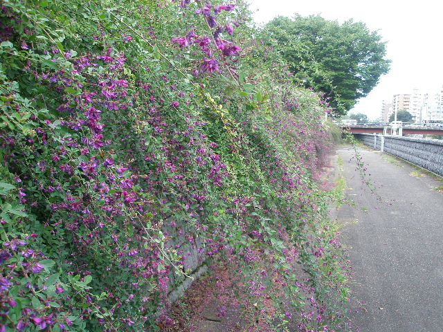 f0190010_2246620.jpg