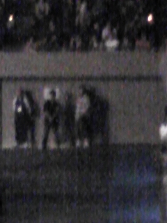 c0038524_455517.jpg