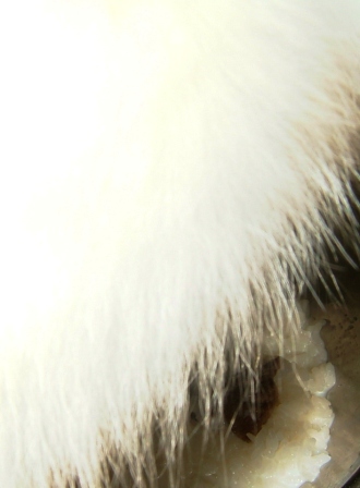 e0024126_20281821.jpg