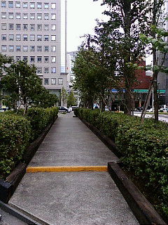 f0176526_2358824.jpg