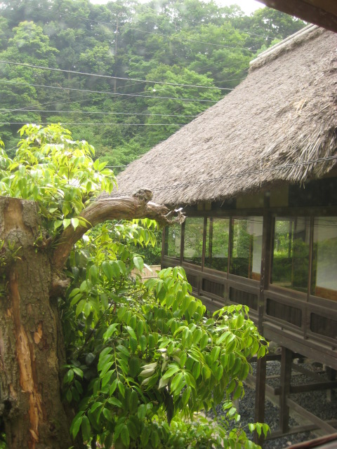 d0147727_7104717.jpg