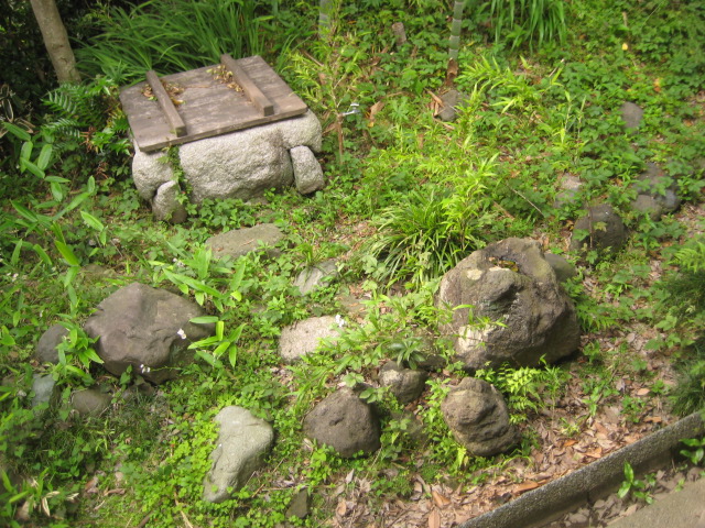 d0147727_795935.jpg