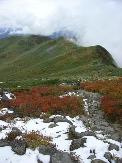 f0118332_23152794.jpg