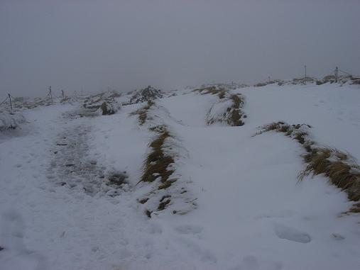 f0118332_23192942.jpg
