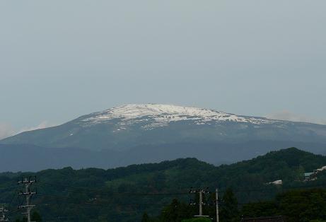 f0118332_2374643.jpg