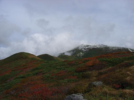 f0118332_2392368.jpg