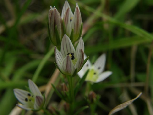 e0145033_1118198.jpg
