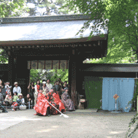 d0033734_14565595.gif