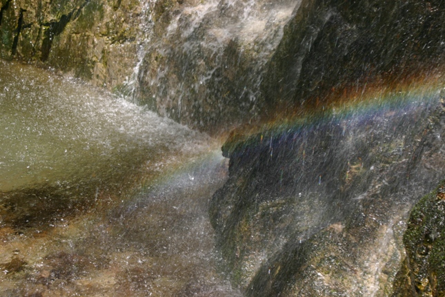 e0083238_22534636.jpg