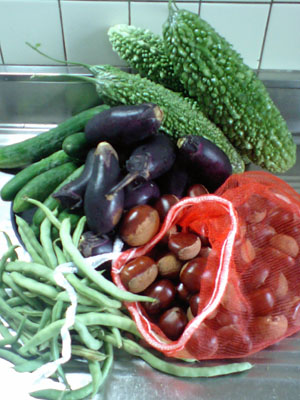 c0155853_9302616.jpg