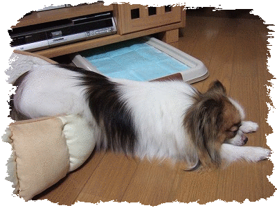e0131153_21413242.gif