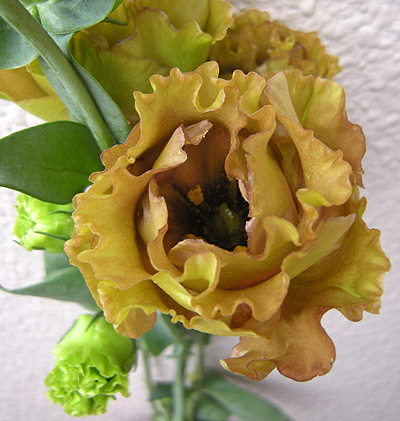 a0001354_17553538.jpg