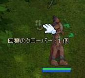 f0114354_1530561.jpg