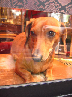 f0057456_20375163.jpg