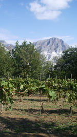c0161459_16352731.jpg
