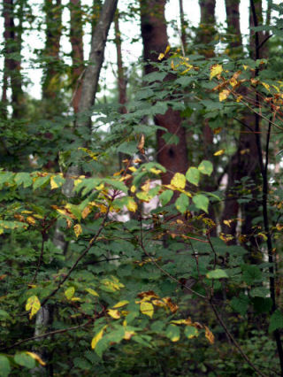 f0107364_0501657.jpg