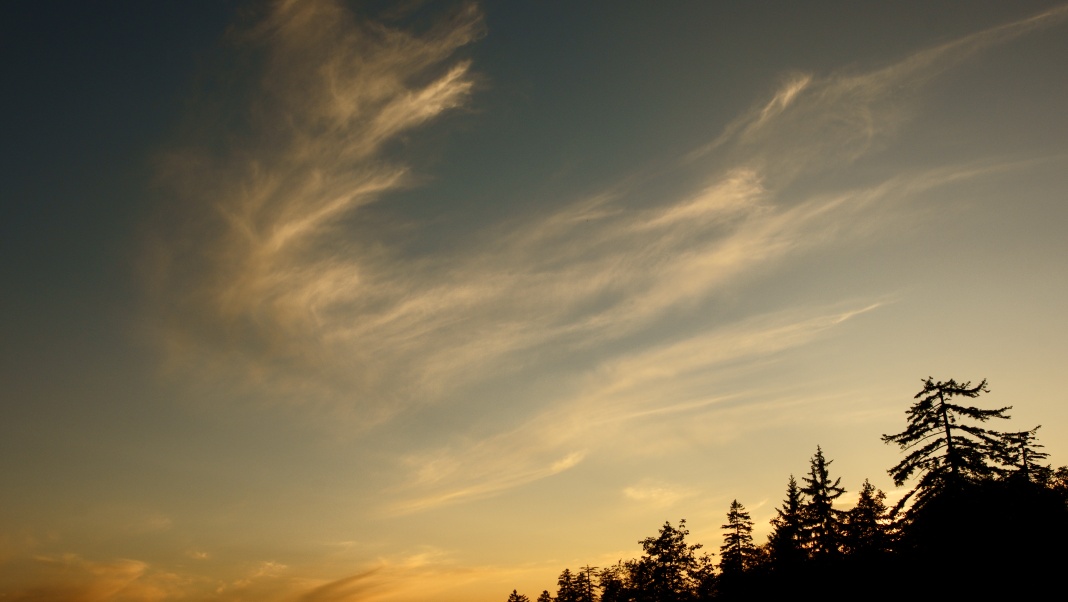 b0149365_1523456.jpg