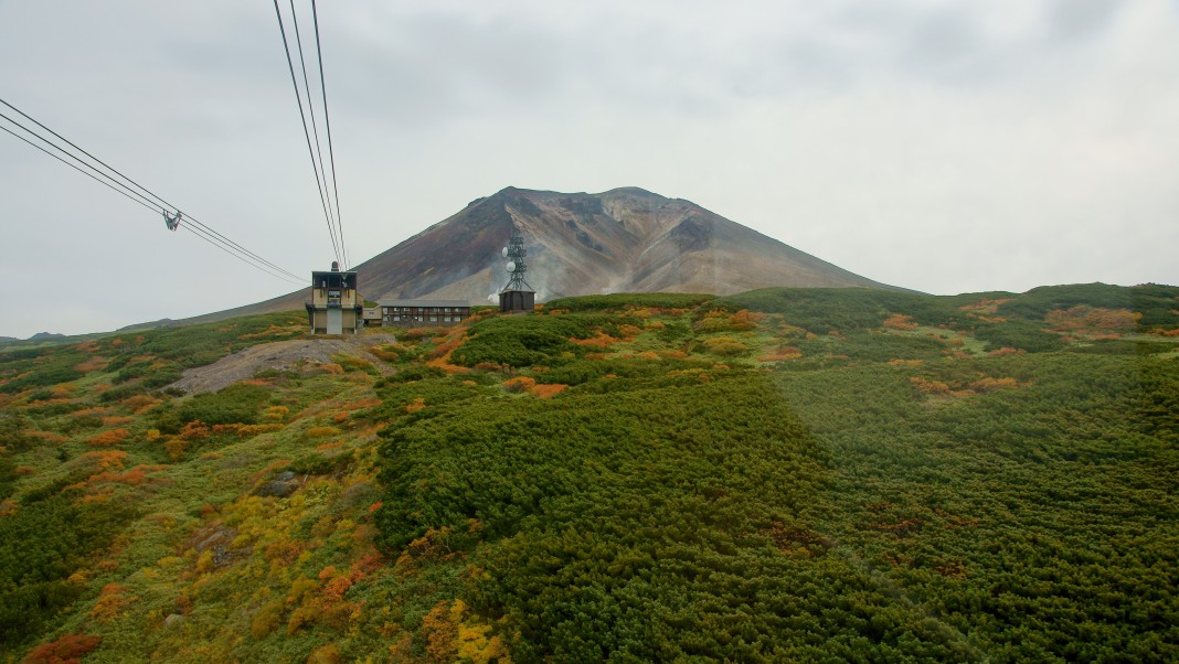 b0149365_1541970.jpg