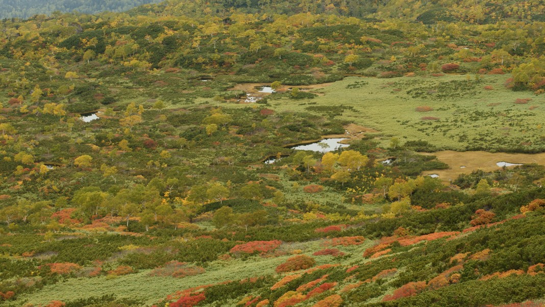 b0149365_158446.jpg