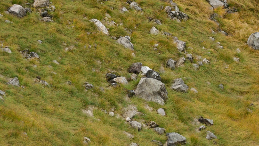 b0149365_263013.jpg