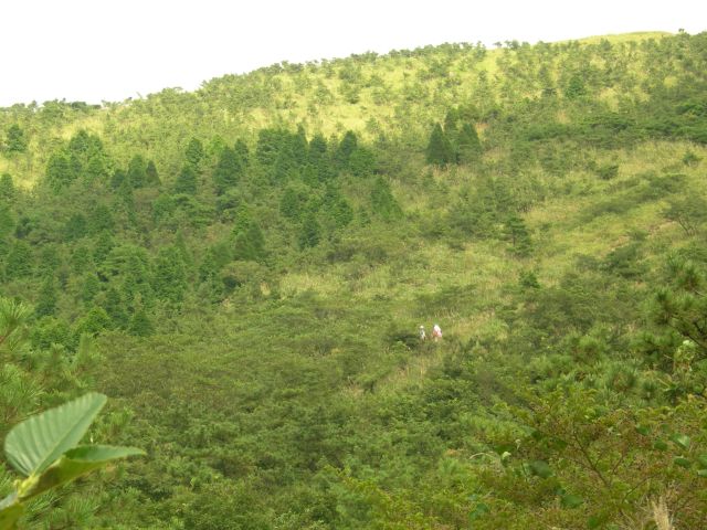 c0042869_10302283.jpg