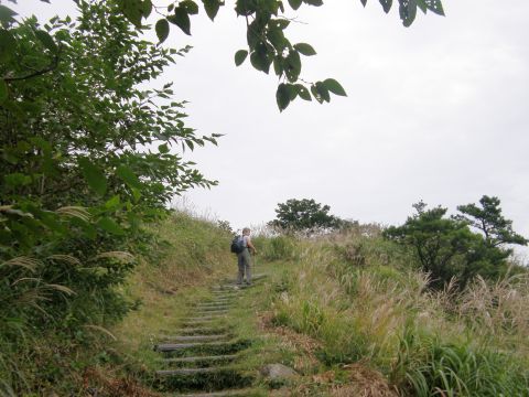 c0042869_1042829.jpg