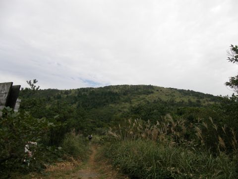 c0042869_1055561.jpg