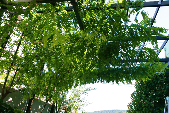 f0052869_0412533.jpg