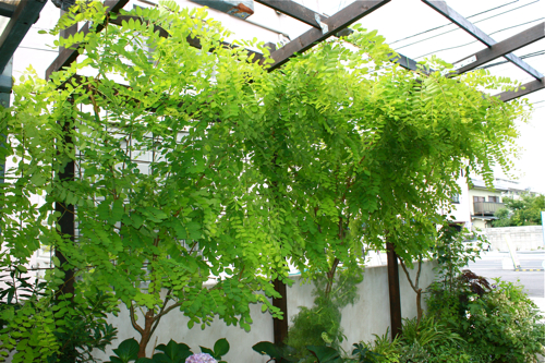 f0052869_0551874.jpg
