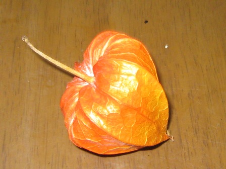 f0088569_2224228.jpg