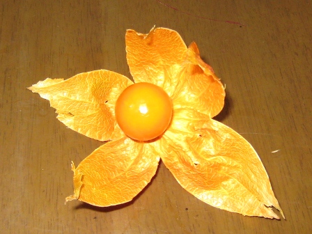 f0088569_2232819.jpg