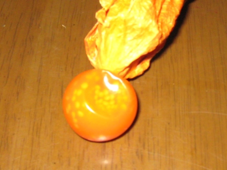 f0088569_22438.jpg