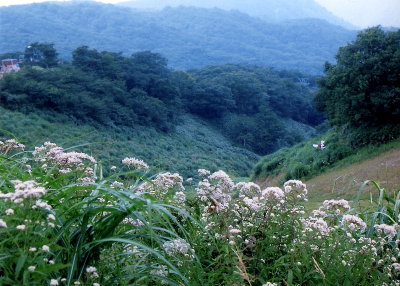 f0181173_15331695.jpg