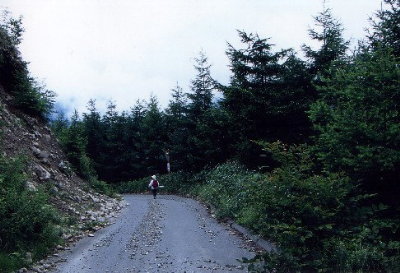 f0181173_15352585.jpg