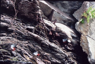 f0181173_15391948.jpg