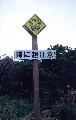 f0181173_16191873.jpg