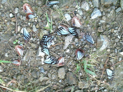 f0181173_16243273.jpg