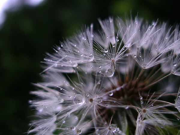 a0013879_21252332.jpg