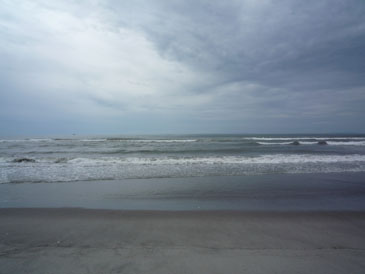 f0079980_19594038.jpg